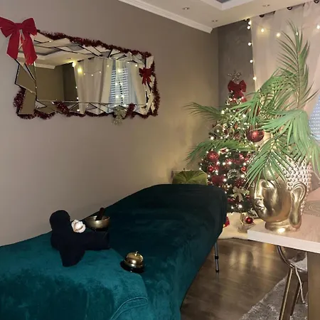 Apartman Dynasty Luxury 100m2 Jacuzzi Terrasse Holtzheim